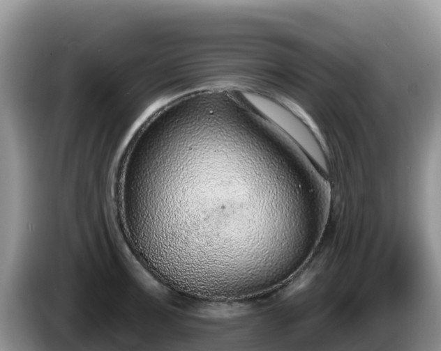 X0000086251091200704051235