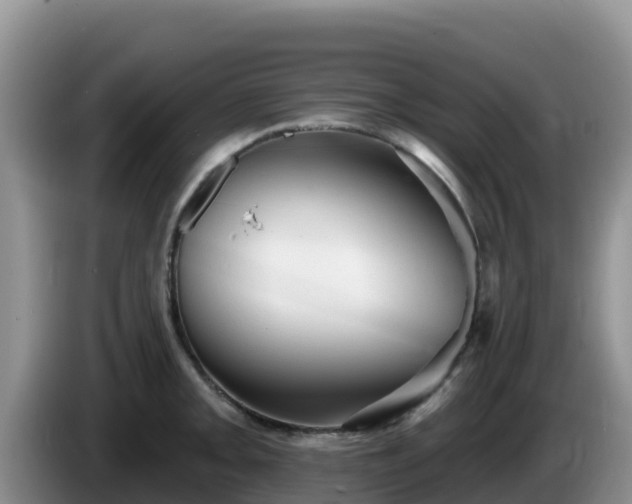 X0000086251093200704051235