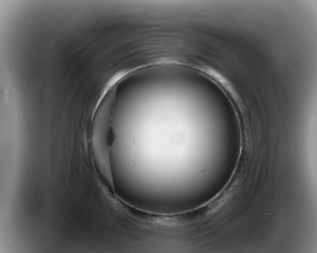 X0000086251097200704051235