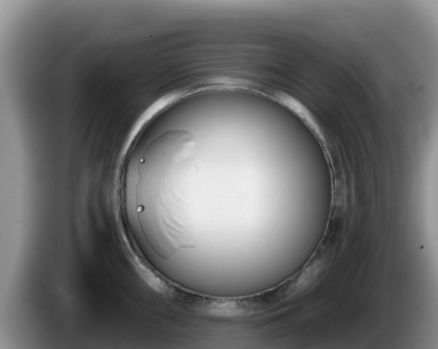 X0000086251098200704051235
