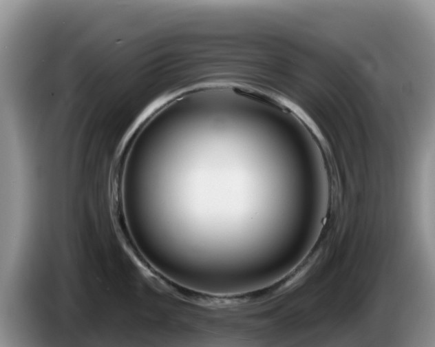X0000086251101200704051235