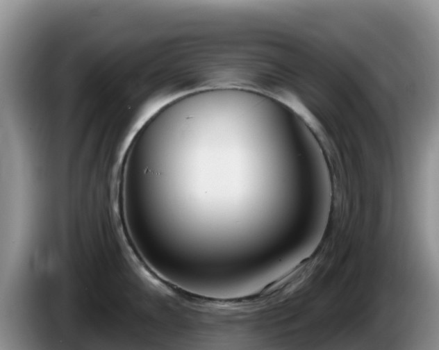 X0000086251102200704051235