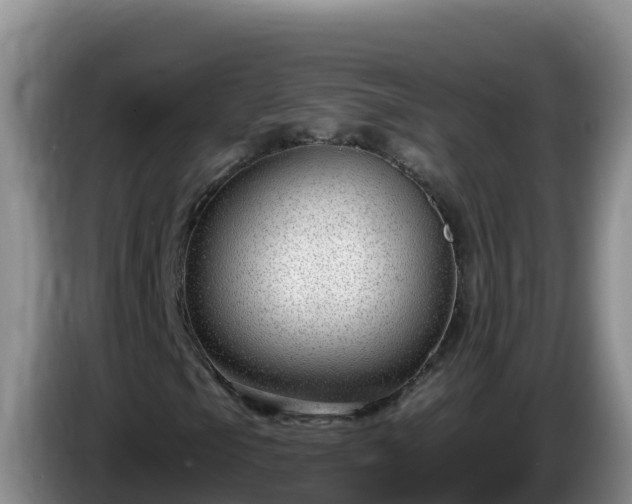 X0000086251105200704051234