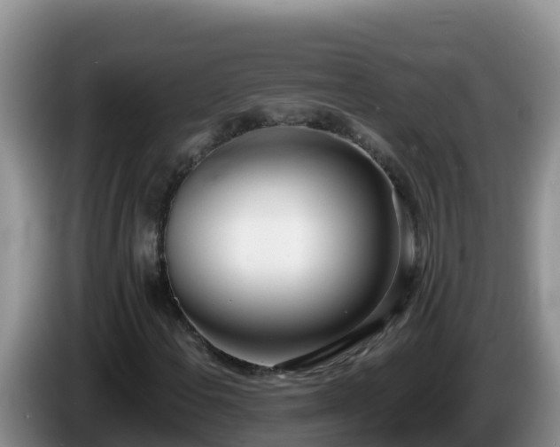 X0000086251108200704051234