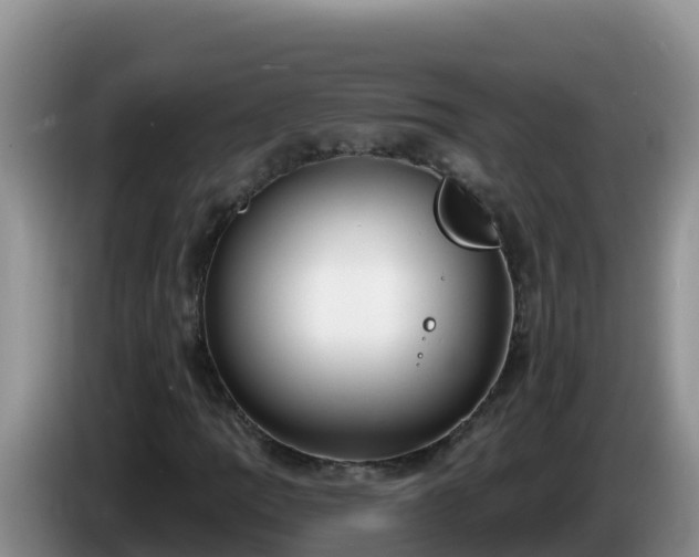 X0000086251109200704051234