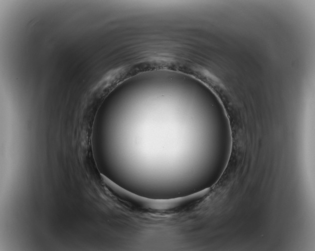 X0000086251110200704051234