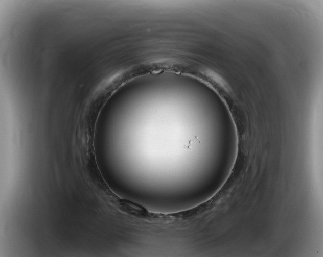 X0000086251111200704051234