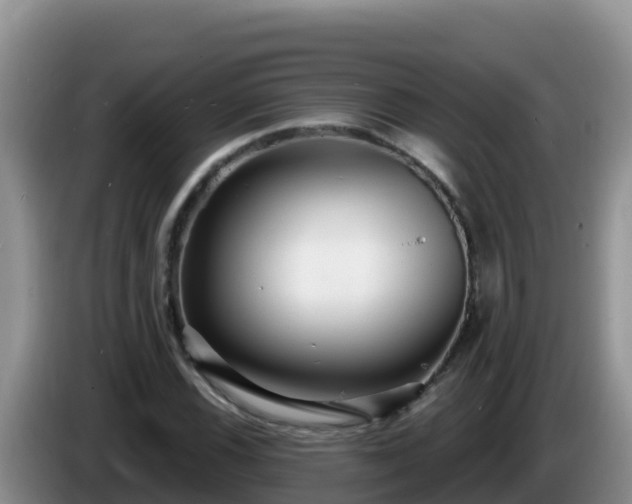 X0000086251116200704051235