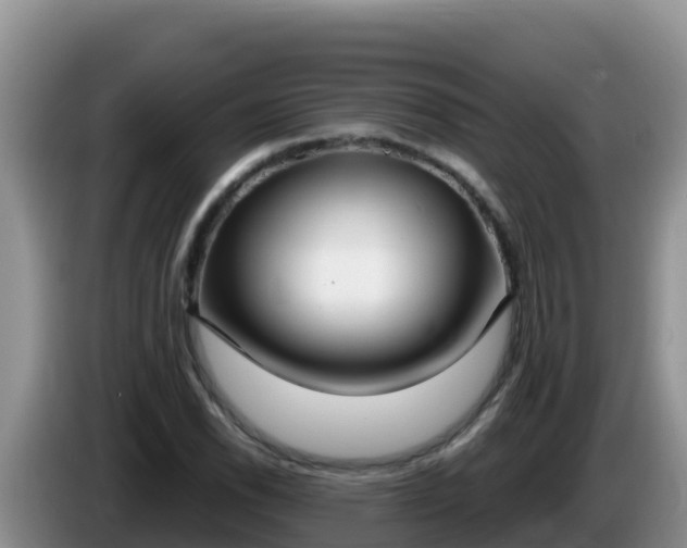 X0000086251118200704051235