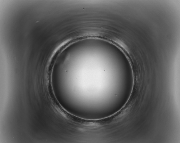 X0000086251119200704051235
