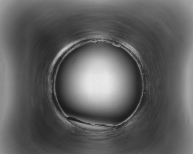 X0000086251120200704051235