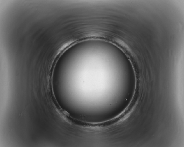 X0000086251121200704051235