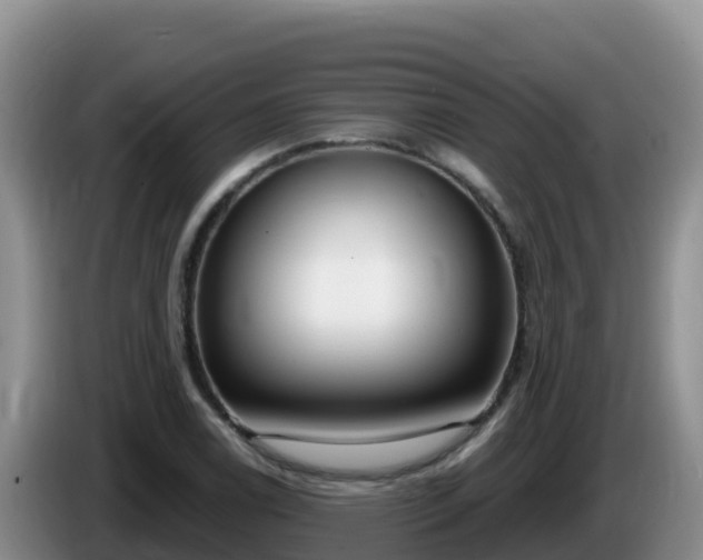 X0000086251122200704051235