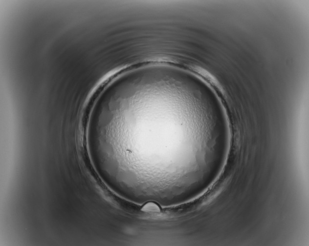 X0000086251125200704051235