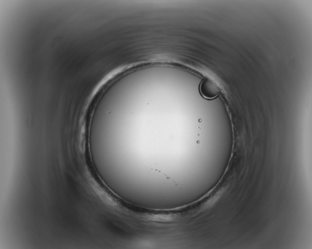 X0000086251126200704051235