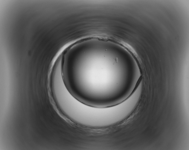X0000086251128200704051235