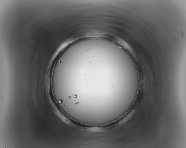 X0000086251130200704051235