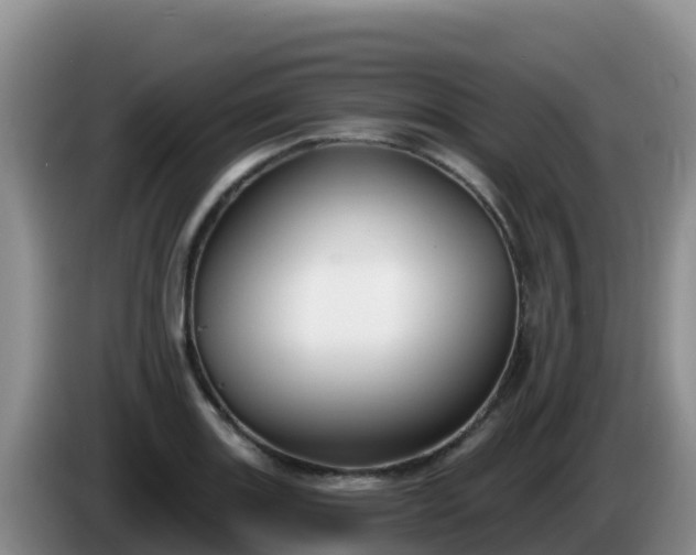 X0000086251131200704051235