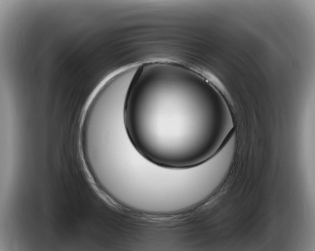 X0000086251132200704051235