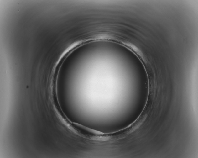 X0000086251134200704051235