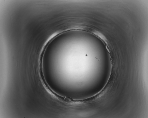 X0000086251135200704051235