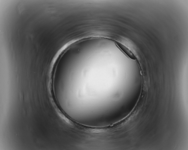 X0000086251136200704051235