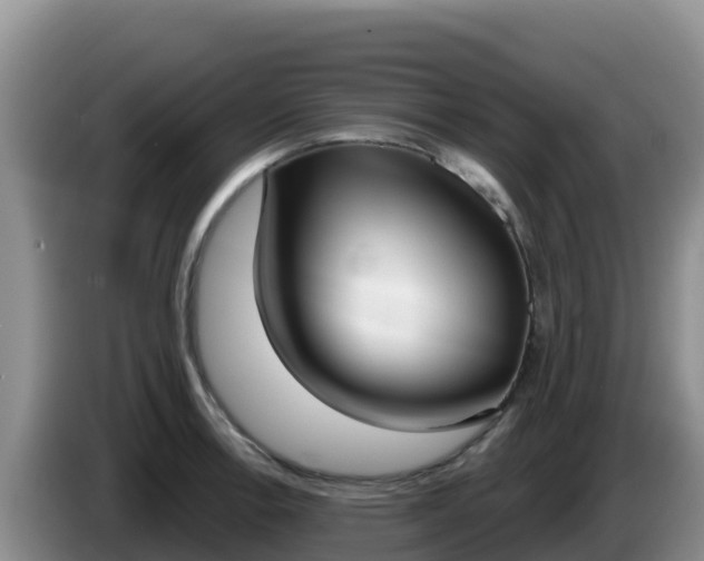 X0000086251138200704051235