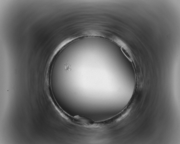 X0000086251141200704051235