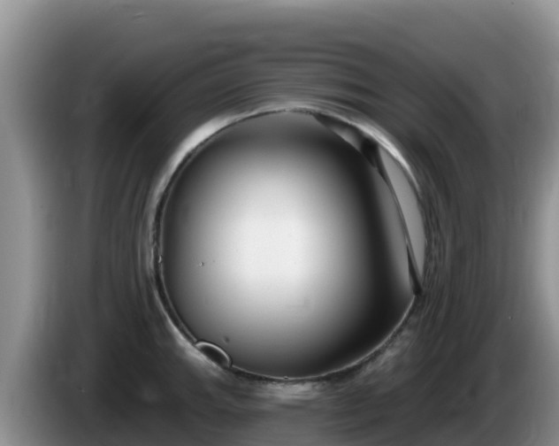 X0000086251143200704051235