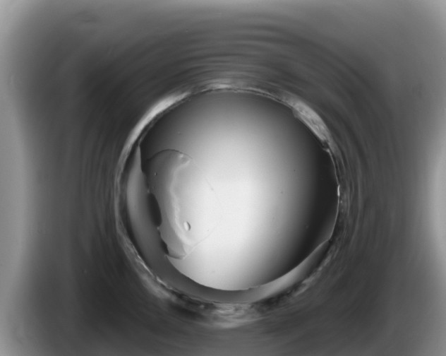 X0000086251146200704051235