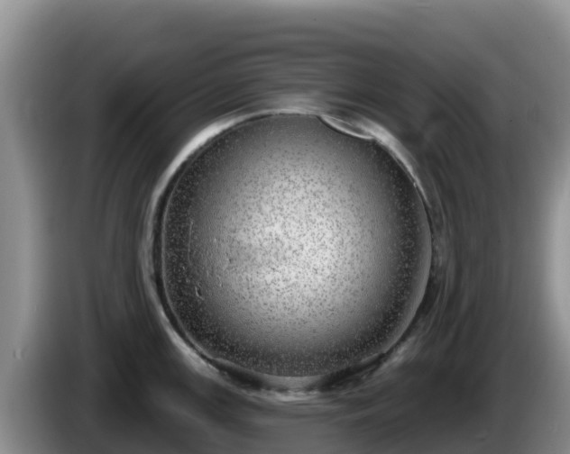 X0000086251147200704051235