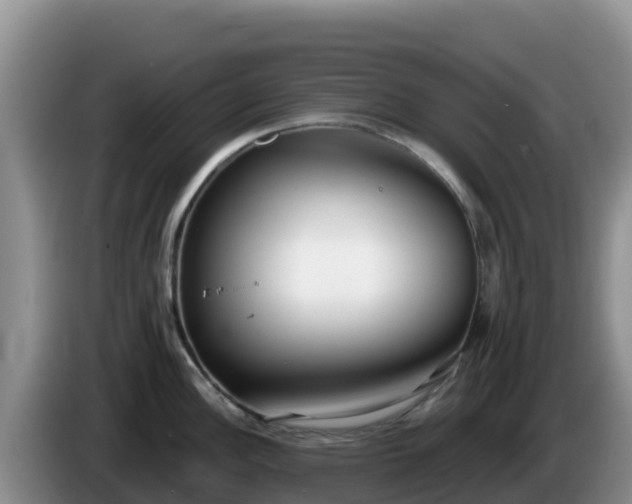 X0000086251148200704051235
