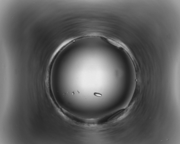 X0000086251149200704051235