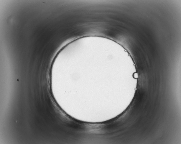 X0000086251150200704051235