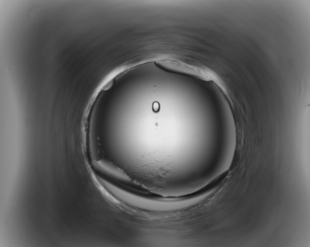 X0000086251151200704051235