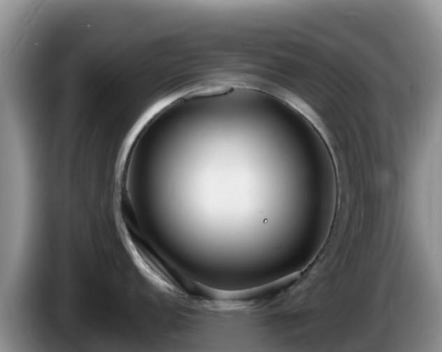 X0000086251152200704051235
