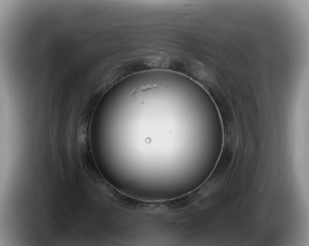X0000086251154200704051234