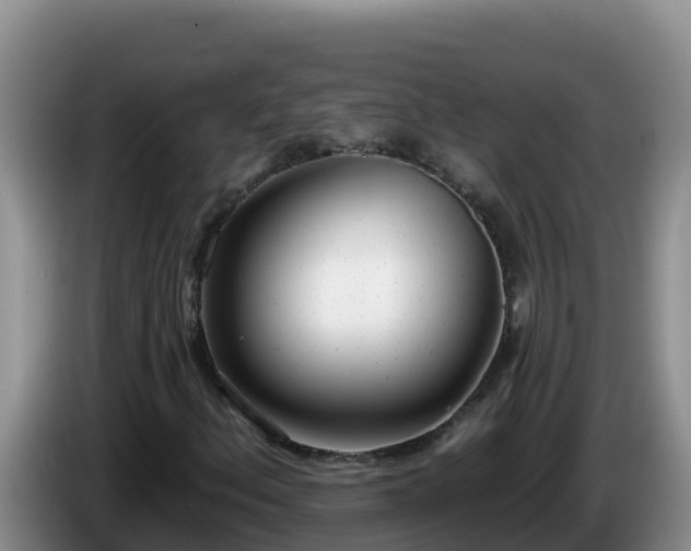 X0000086251156200704051234