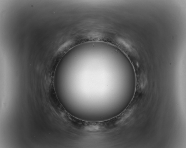 X0000086251157200704051234