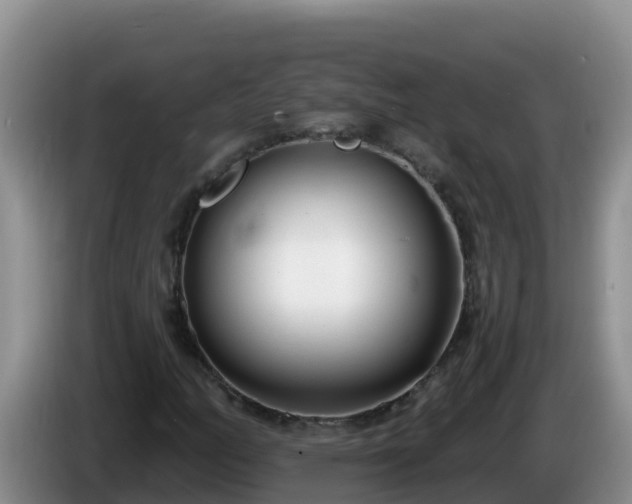 X0000086251158200704051234