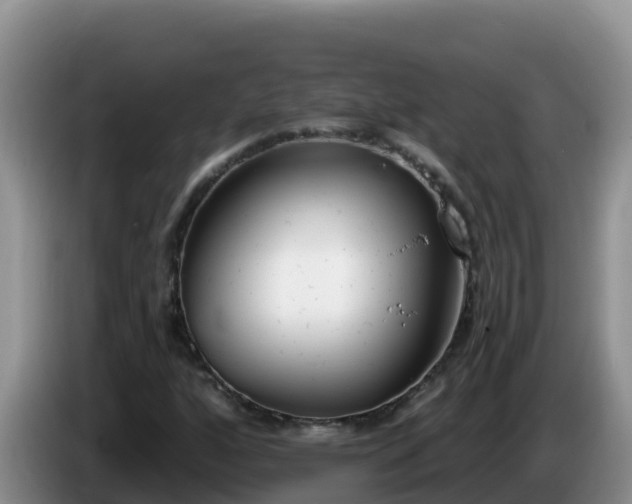 X0000086251160200704051234