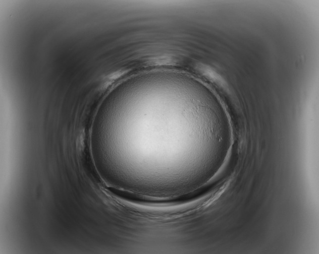 X0000086251161200704051234