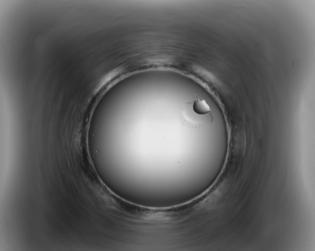 X0000086251162200704051234