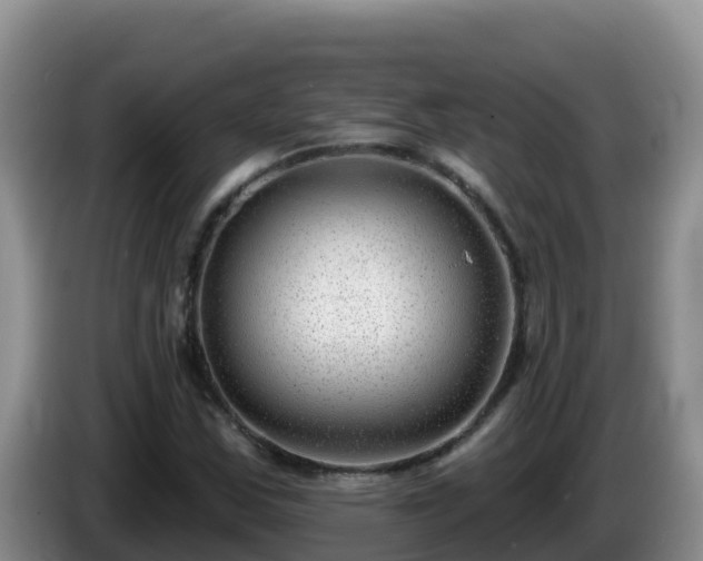 X0000086251163200704051234