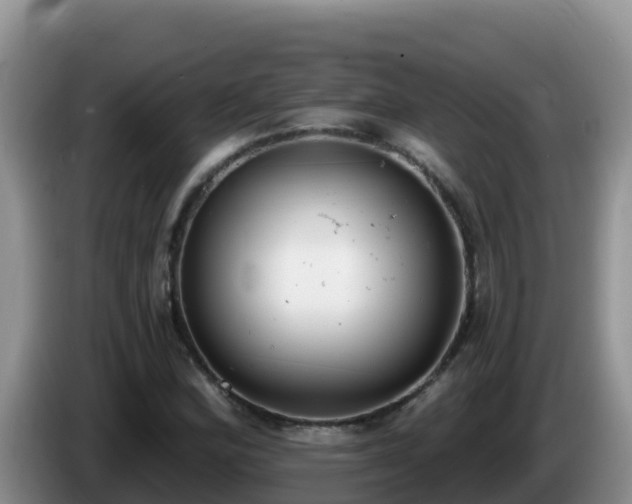 X0000086251164200704051234