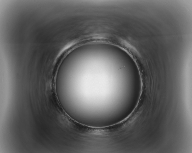X0000086251166200704051234