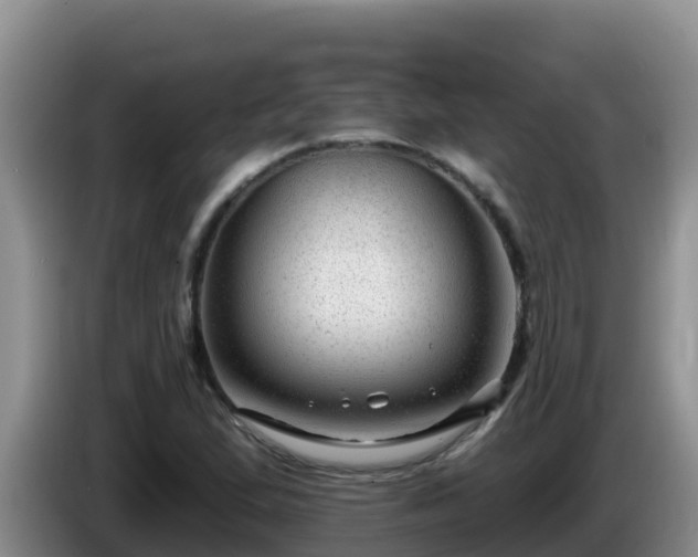 X0000086251167200704051234