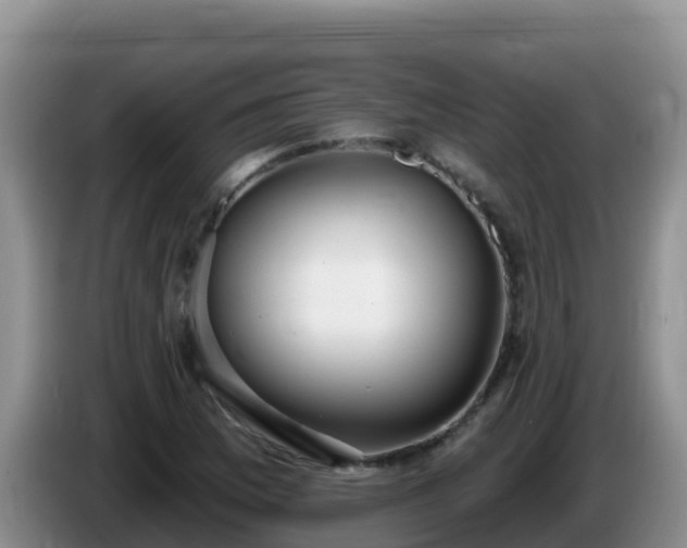 X0000086251169200704051234