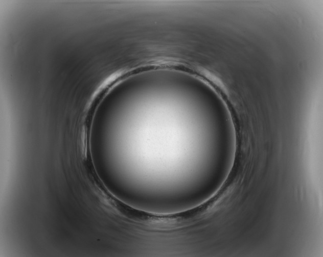 X0000086251171200704051234