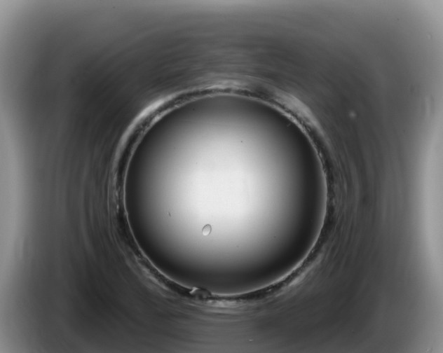 X0000086251172200704051234